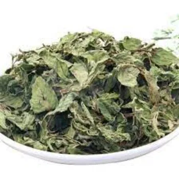 Dry Mint Leaves